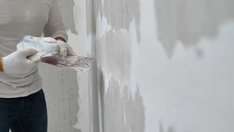 Best Repainting for Renovations  in USA